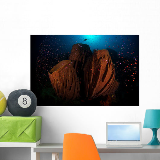Barrel Sponge Reef with Wall Decal