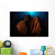 Barrel Sponge Reef with Wall Decal