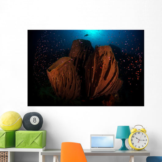 Barrel Sponge Reef with Wall Decal