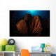 Barrel Sponge Reef with Wall Decal