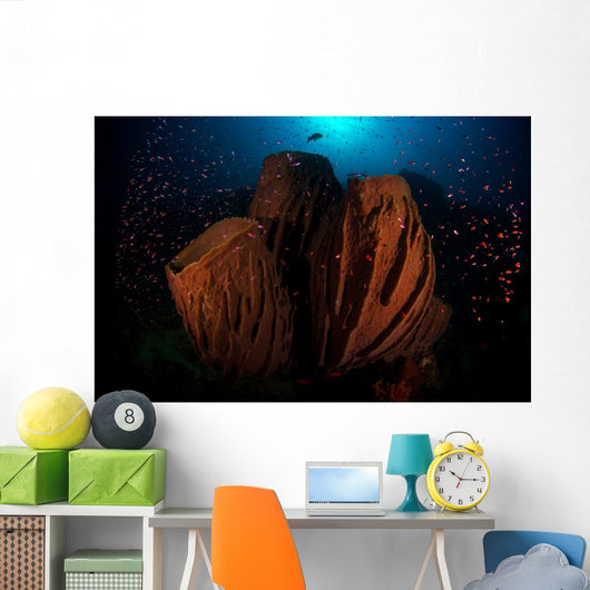 Barrel Sponge Reef with Wall Decal