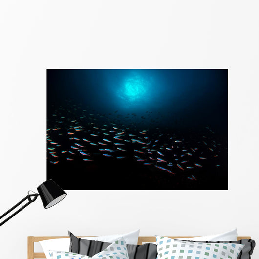 School Fish with Sunburst Horizontal Wall Decal