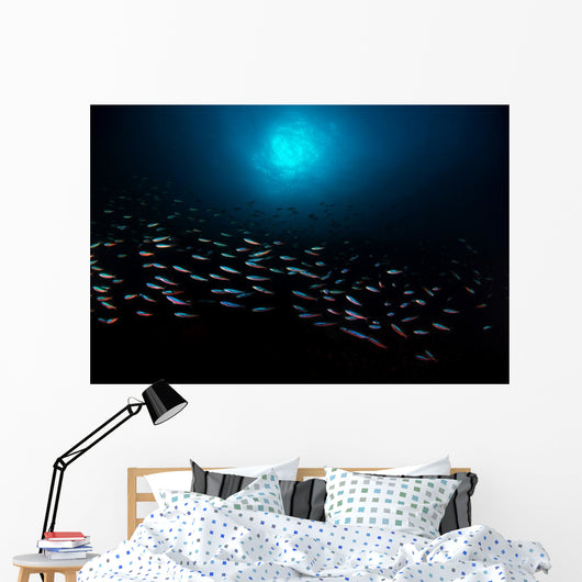 School Fish with Sunburst Horizontal Wall Decal