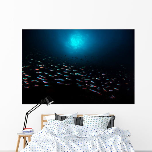 School Fish with Sunburst Horizontal Wall Decal