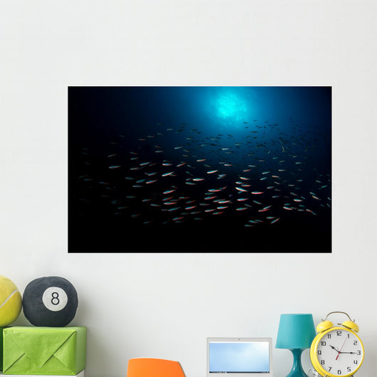 School Fish with Sunburst Wall Decal