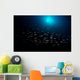 School Fish with Sunburst Wall Decal