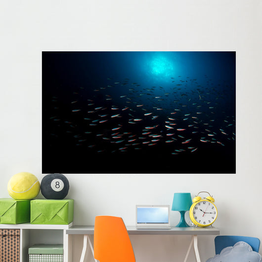 School Fish with Sunburst Wall Decal
