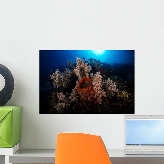 Soft Coral Reef Wall Decal