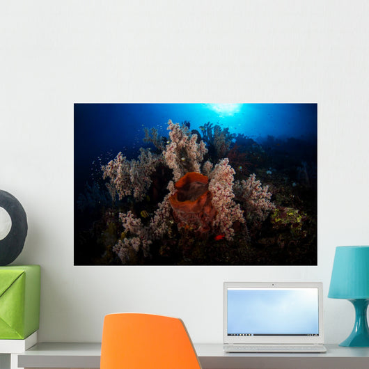 Soft Coral Reef Wall Decal