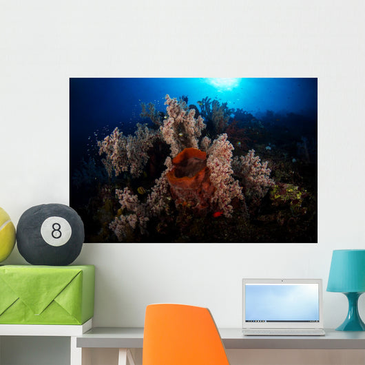 Soft Coral Reef Wall Decal