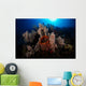 Soft Coral Reef Wall Decal