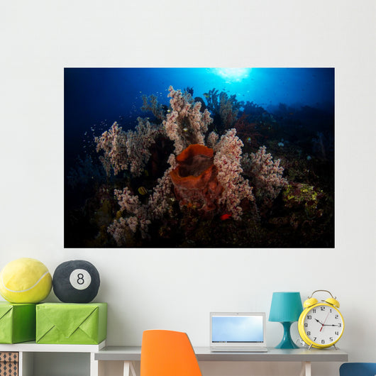 Soft Coral Reef Wall Decal