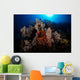 Soft Coral Reef Wall Decal