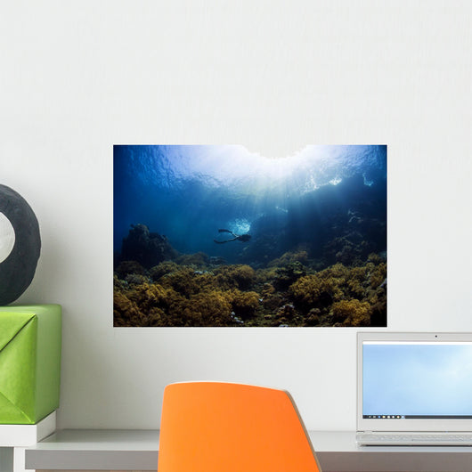 Free Diver Exploring Shallow Wall Decal