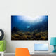 Free Diver Exploring Shallow Wall Decal