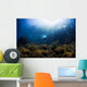 Free Diver Exploring Shallow Wall Decal