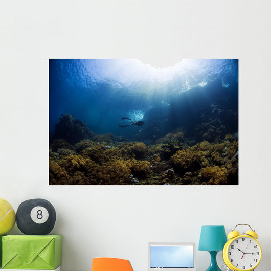 Free Diver Exploring Shallow Wall Decal