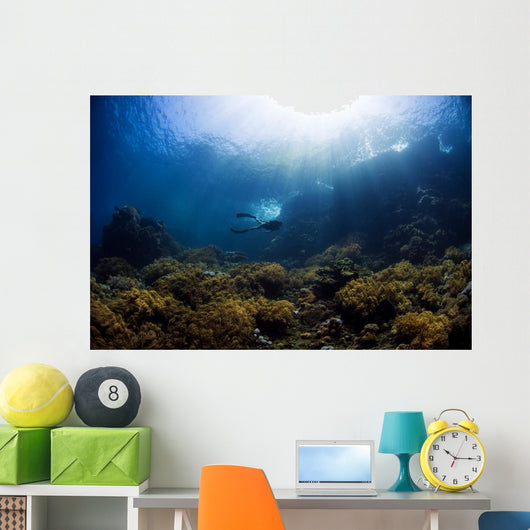 Free Diver Exploring Shallow Wall Decal