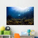 Free Diver Exploring Shallow Wall Decal