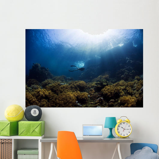 Free Diver Exploring Shallow Wall Decal
