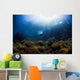 Free Diver Exploring Shallow Wall Decal