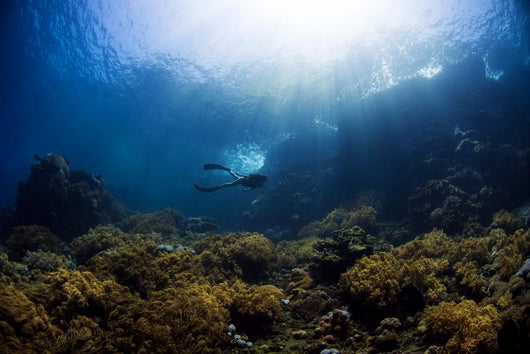 Free Diver Exploring Shallow Wall Decal