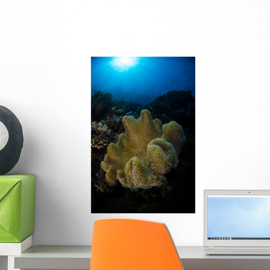 Soft Coral Reef Vertical Wall Decal