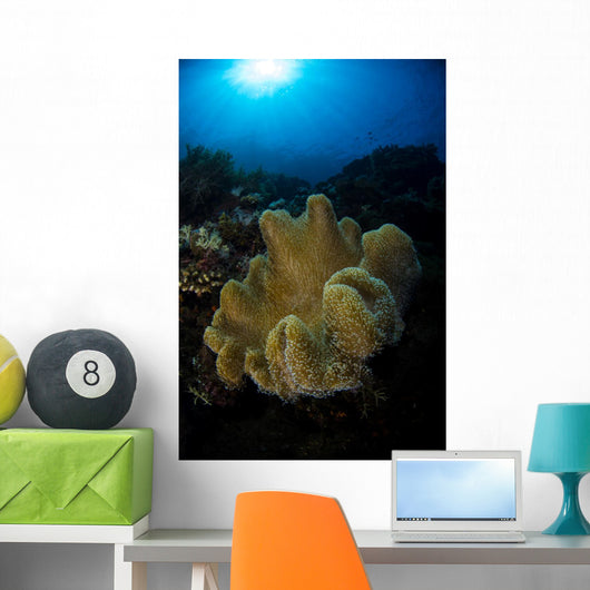 Soft Coral Reef Vertical Wall Decal