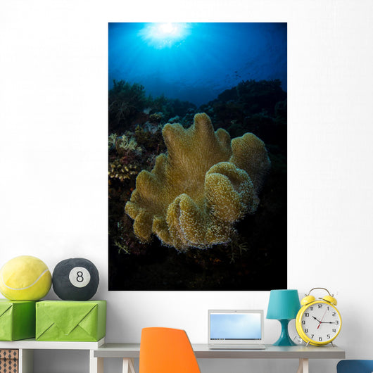Soft Coral Reef Vertical Wall Decal