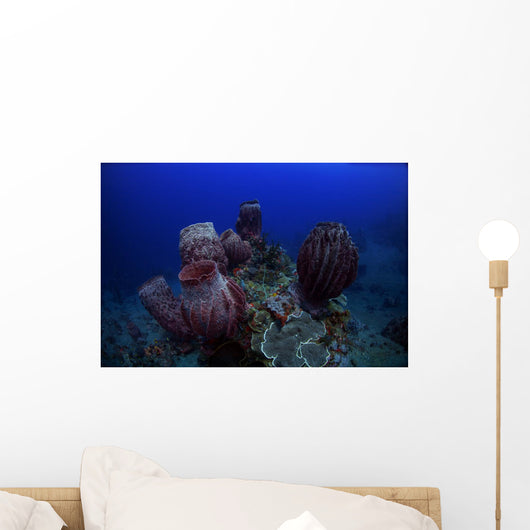 Group Barrel Sponge Deep Wall Decal