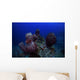 Group Barrel Sponge Deep Wall Decal