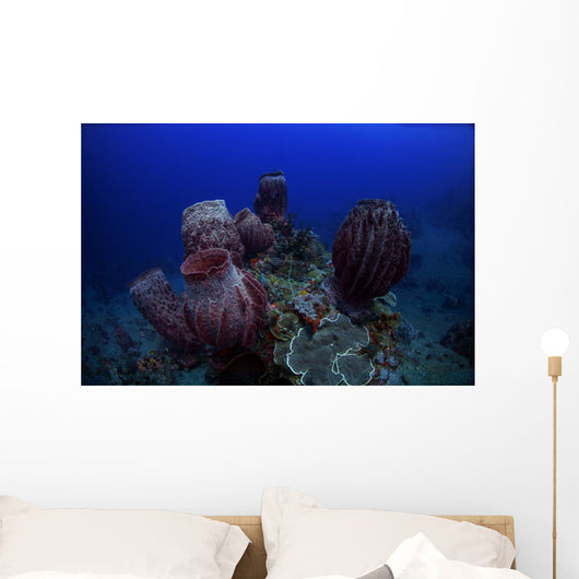 Group Barrel Sponge Deep Wall Decal