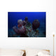 Group Barrel Sponge Deep Wall Decal