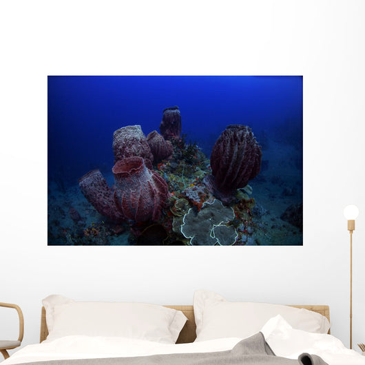 Group Barrel Sponge Deep Wall Decal