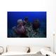Group Barrel Sponge Deep Wall Decal