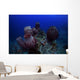 Group Barrel Sponge Deep Wall Decal