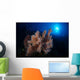 Colorful Reef with Fishes Wall Decal