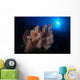 Colorful Reef with Fishes Wall Decal