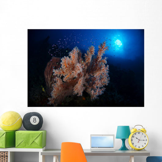 Colorful Reef with Fishes Wall Decal