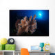 Colorful Reef with Fishes Wall Decal
