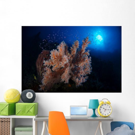 Colorful Reef with Fishes Wall Decal