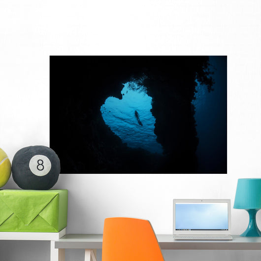 Snorkeler Exploring Heart-shaped Reef Wall Decal
