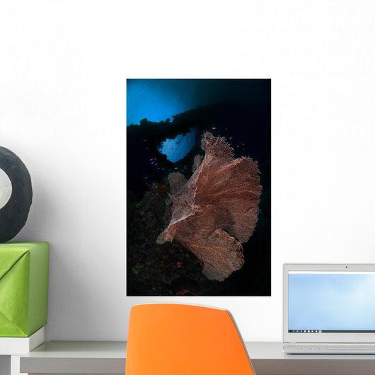 Sea Fan Reef Banda Wall Decal