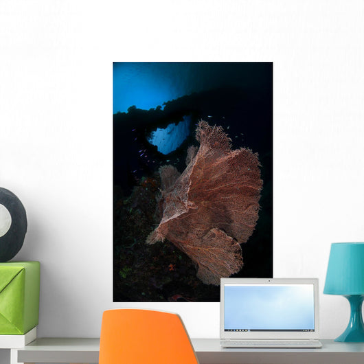 Sea Fan Reef Banda Wall Decal