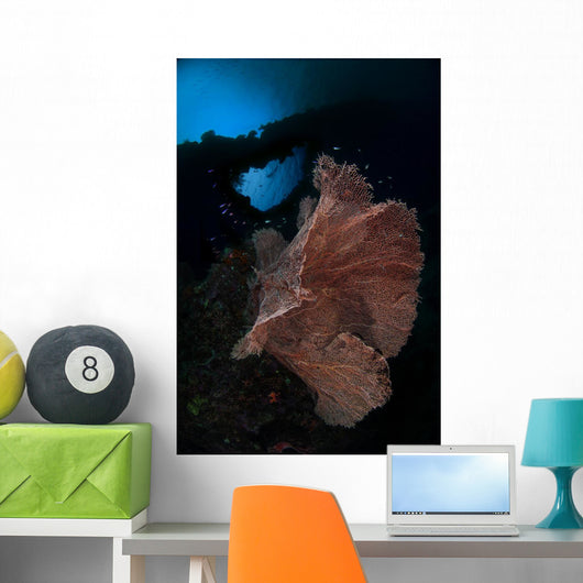 Sea Fan Reef Banda Wall Decal