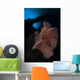 Sea Fan Reef Banda Wall Decal