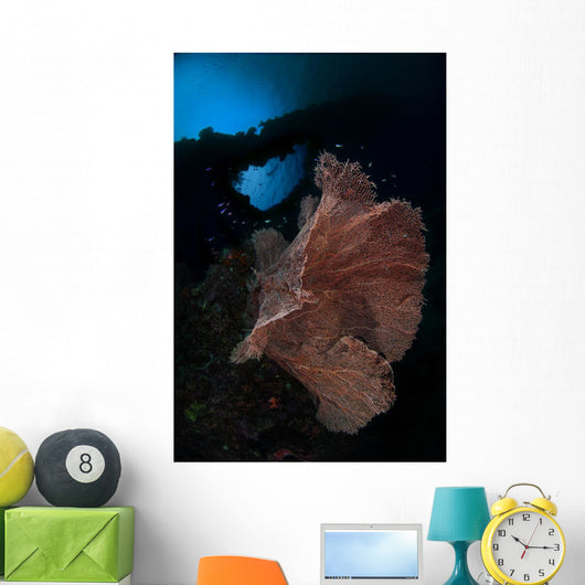 Sea Fan Reef Banda Wall Decal