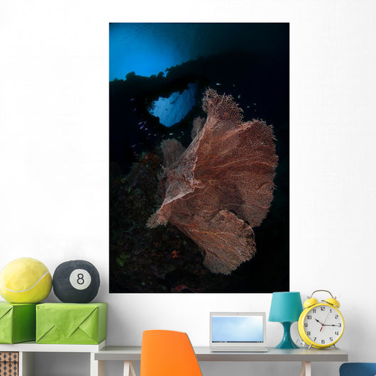 Sea Fan Reef Banda Wall Decal
