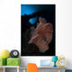 Sea Fan Reef Banda Wall Decal