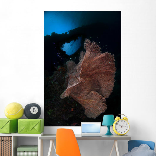 Sea Fan Reef Banda Wall Decal